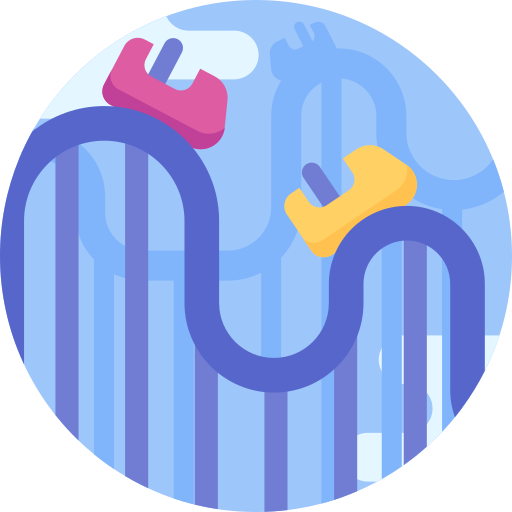 Roller coaster